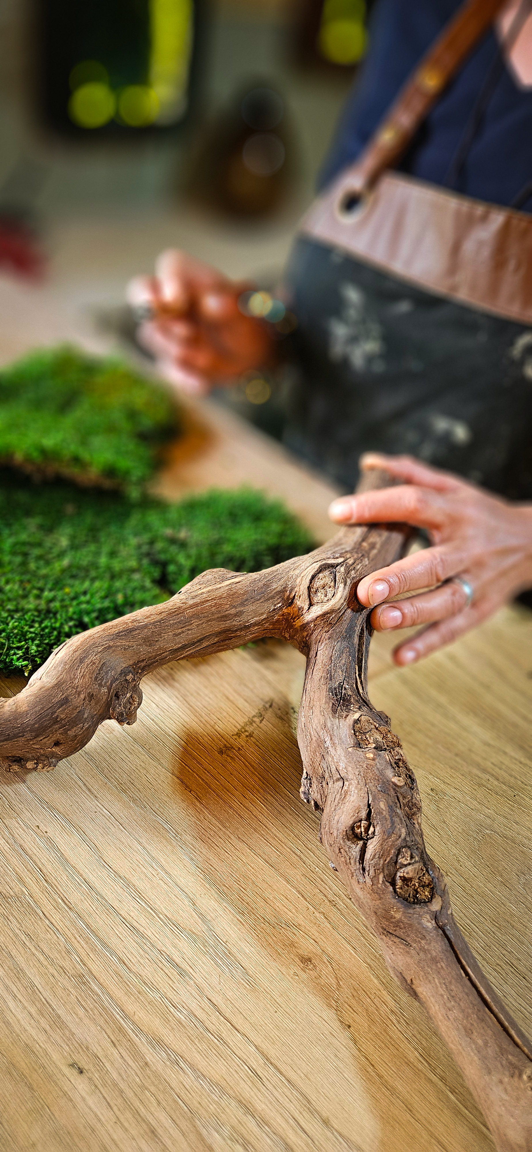 creation_vegetale_et_bois_stabilise_art_et_muse