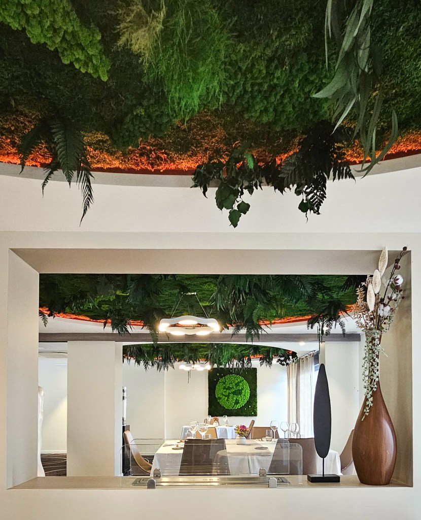 creation_vegetale_et_bois_stabilise_art_et_muse_plafond