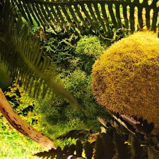 fond_vegetal_art_et_muse